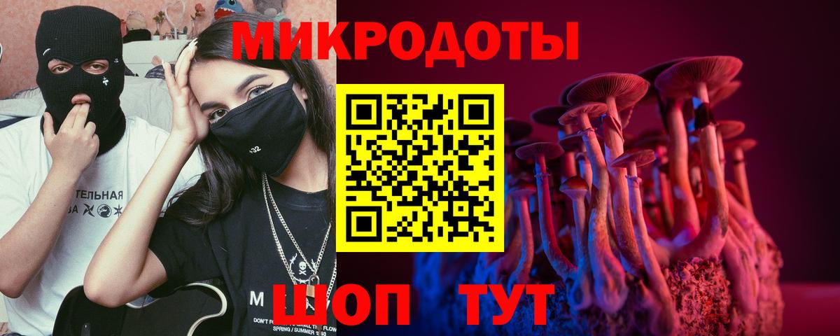 Псилоцибиновые грибы Psilocybine cubensis Феодосия